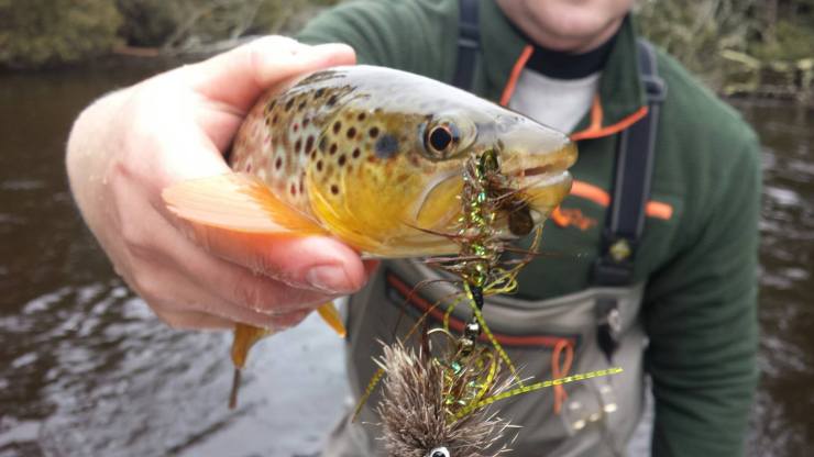 17835148_10212207025151619_7113843202163374077_o